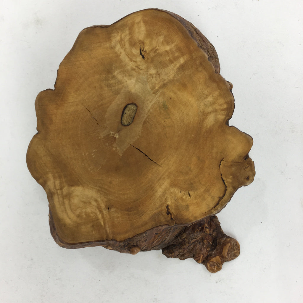 Japanese Tree Stump Ashtray Vtg Wood Ornament Display Brown Haizara JK245