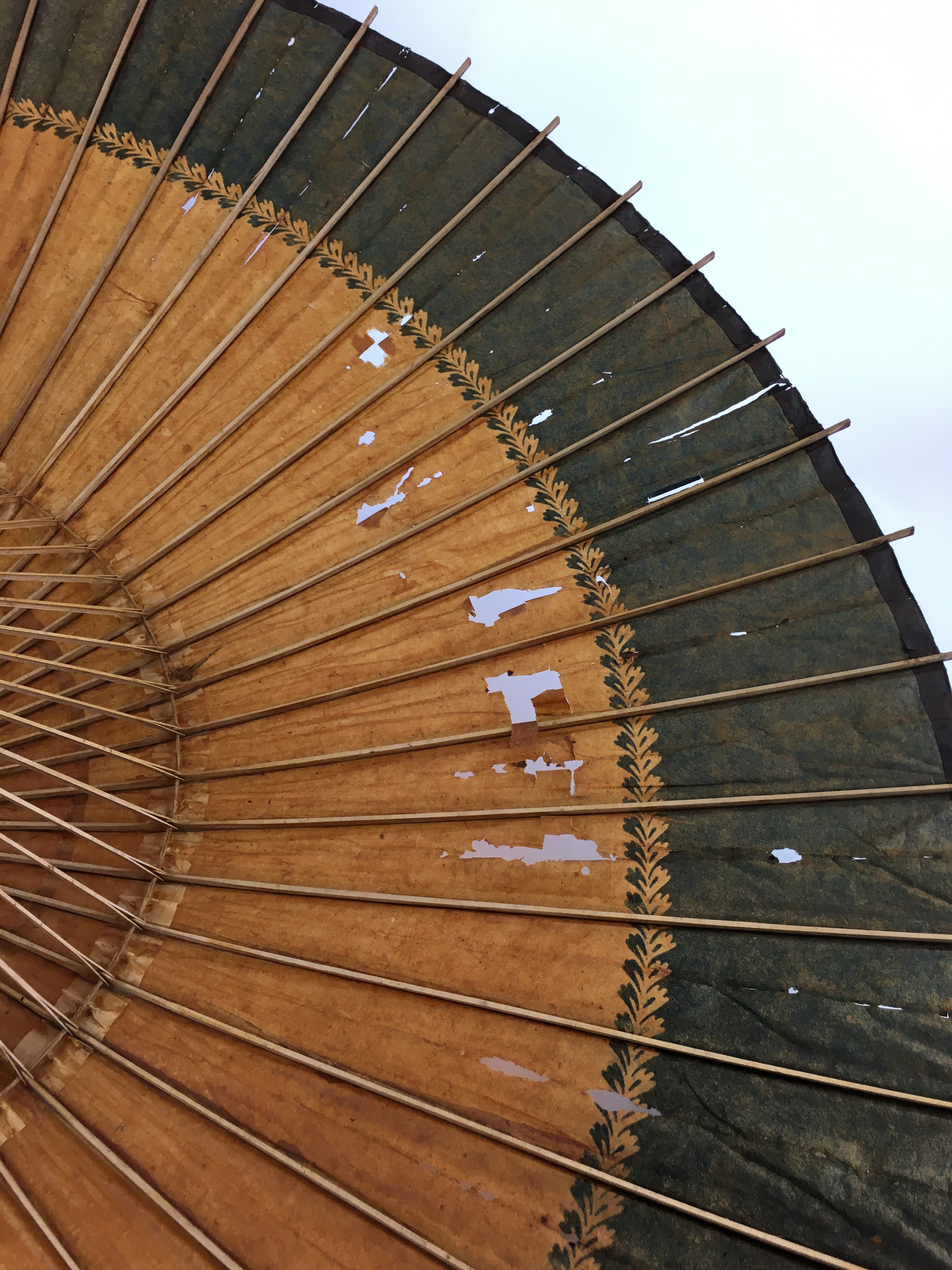 Japanese Umbrella Parasol Wagasa Bangasa Geisha Bamboo Paper Orange JK378