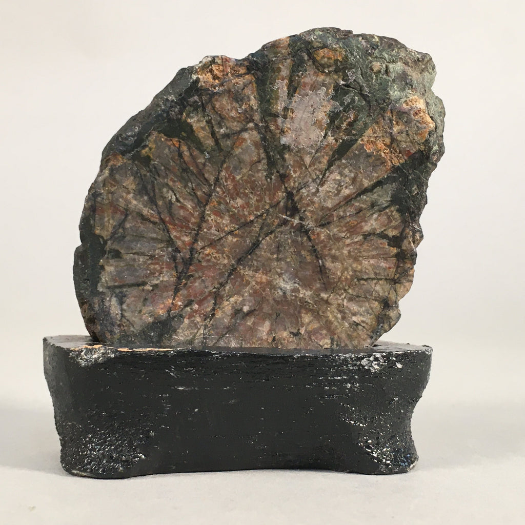 Japanese Viewing Stone Zen Buddhist Vtg Ornament Natural Suiseki JK121