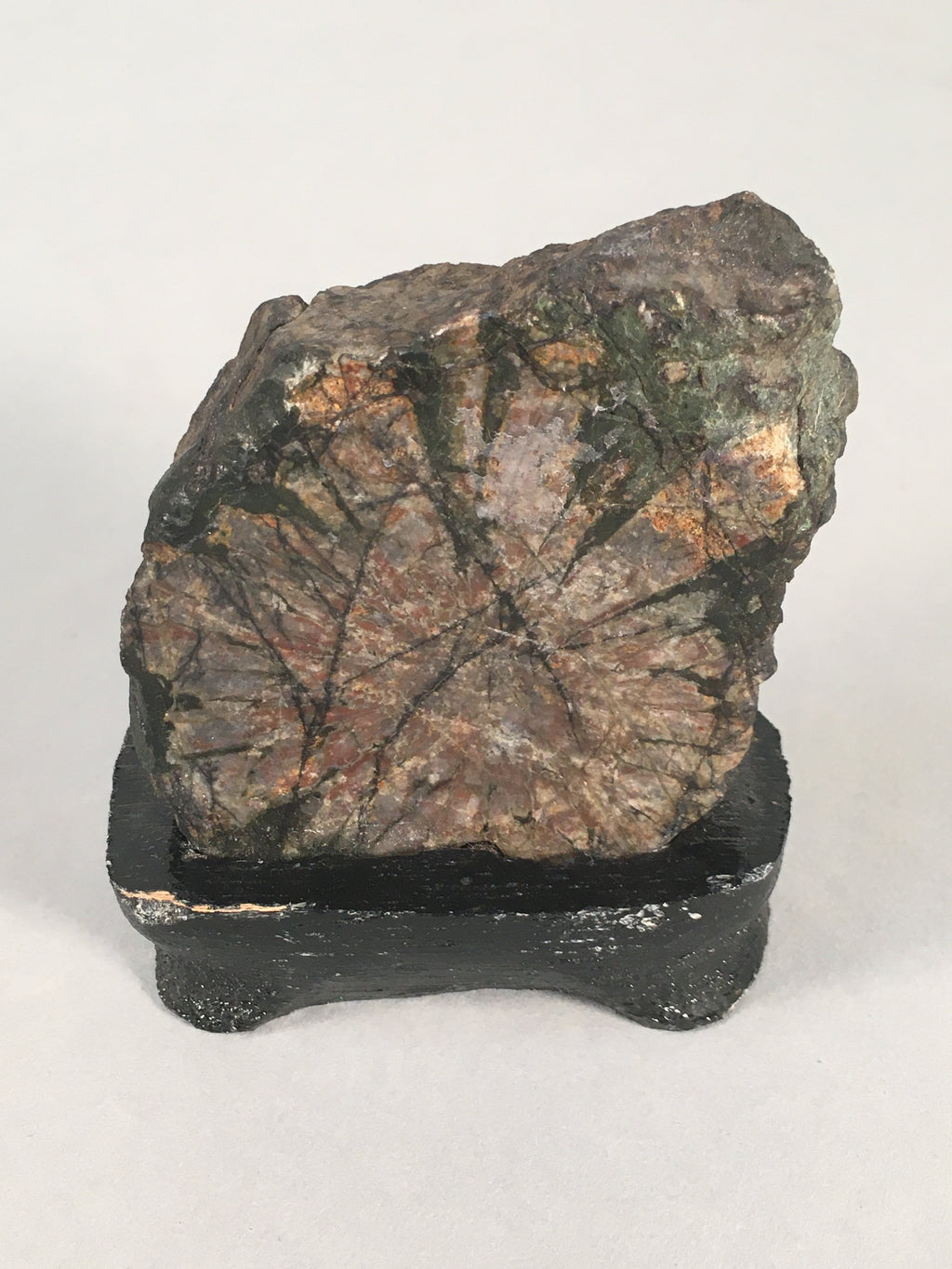 Japanese Viewing Stone Zen Buddhist Vtg Ornament Natural Suiseki JK121