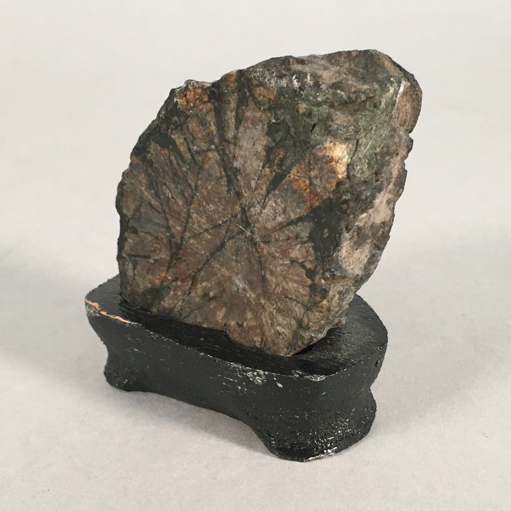 Japanese Viewing Stone Zen Buddhist Vtg Ornament Natural Suiseki JK121
