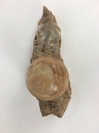 Japanese Viewing Stone Zen Buddhist Vtg Ornament Natural Suiseki JK197