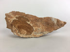 Japanese Viewing Stone Zen Buddhist Vtg Ornament Natural Suiseki JK197
