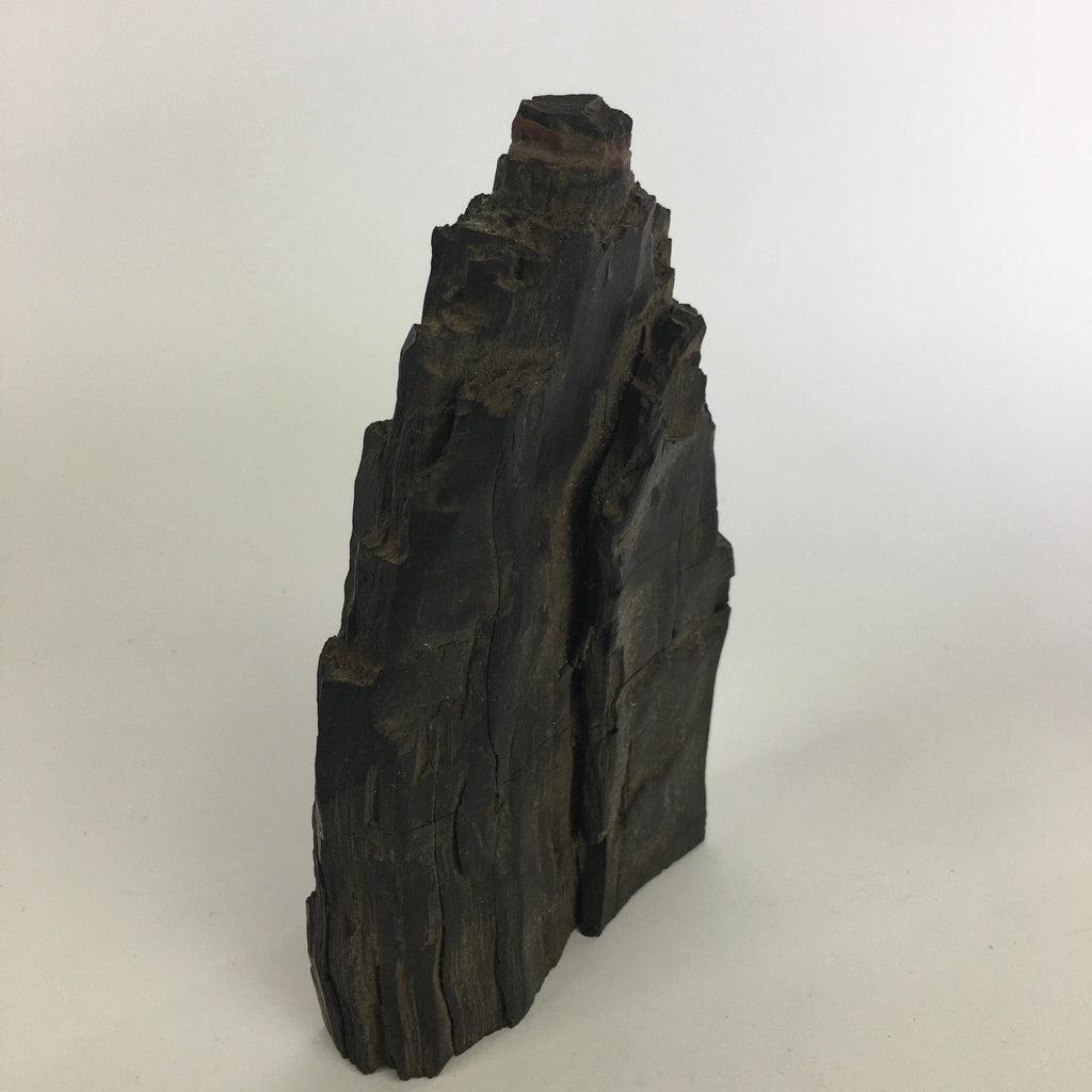 Japanese Viewing Tree Zen Buddhist Vtg Ornament Natural Petrified Wood JK237