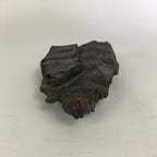 Japanese Viewing Tree Zen Buddhist Vtg Ornament Natural Petrified Wood JK237