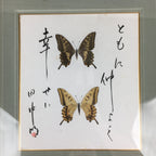 Japanese Wood Framed Shikishi Paper Vtg Butterfly wings pasted picture FL55