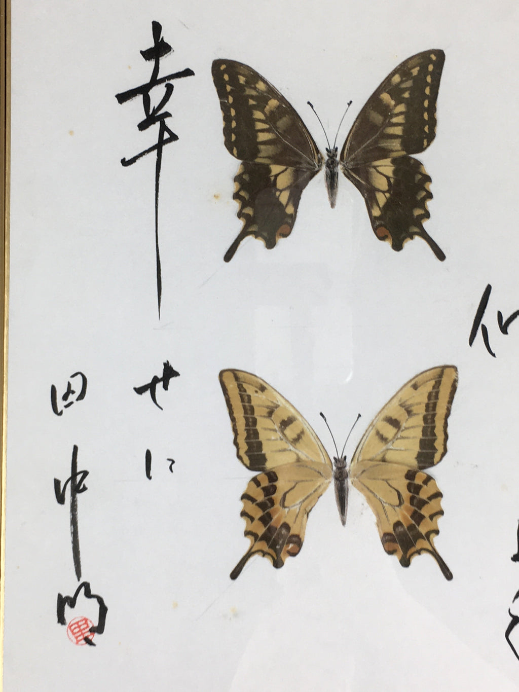 Japanese Wood Framed Shikishi Paper Vtg Butterfly wings pasted picture FL55