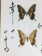 Japanese Wood Framed Shikishi Paper Vtg Butterfly wings pasted picture FL55