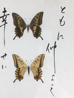 Japanese Wood Framed Shikishi Paper Vtg Butterfly wings pasted picture FL55