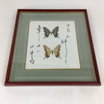Japanese Wood Framed Shikishi Paper Vtg Butterfly wings pasted picture FL55