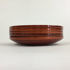 Japanese Wood lacquer Shunkei-Nuri Drink Saucer 5pc Set Vtg Coaster LWB49