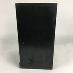 Japanese Wooden Buddhist altar Vtg Butsudan Wood Cabinet Black T264