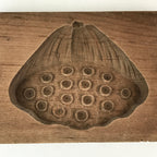 Japanese Wooden Carved Cake Mold Kashigata Sweets Wagashi Vtg Lotus Bud Kg413