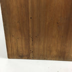 Japanese Wooden Chest Tansu Vtg 2 Panel Door Compartments Drawer T283