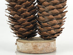 Japanese Wooden Kokeshi Doll Vtg Figurine Traditional Craft Toy Pine Cone KF607