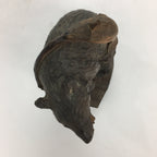Japanese Wooden Statue Vtg Ainu Bear Wood Carving Ornament Brown AB88