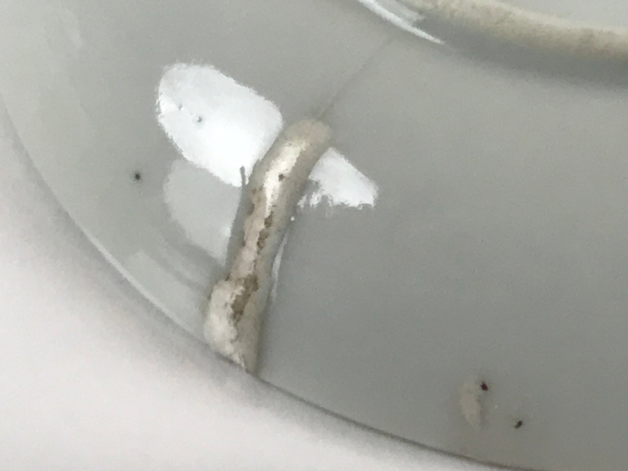 Antique Japanese Ceramic Small Plate Meimeizara Plum Blossom Floral White PY707