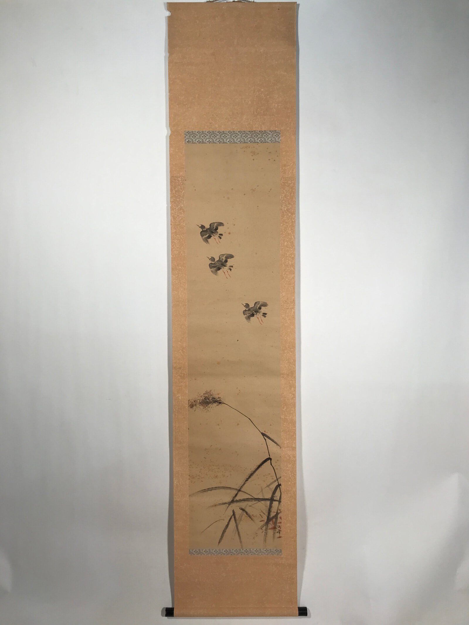 Antique Japanese Hanging Scroll Kakejiku Flying Bird Plover Fall Color KJ190