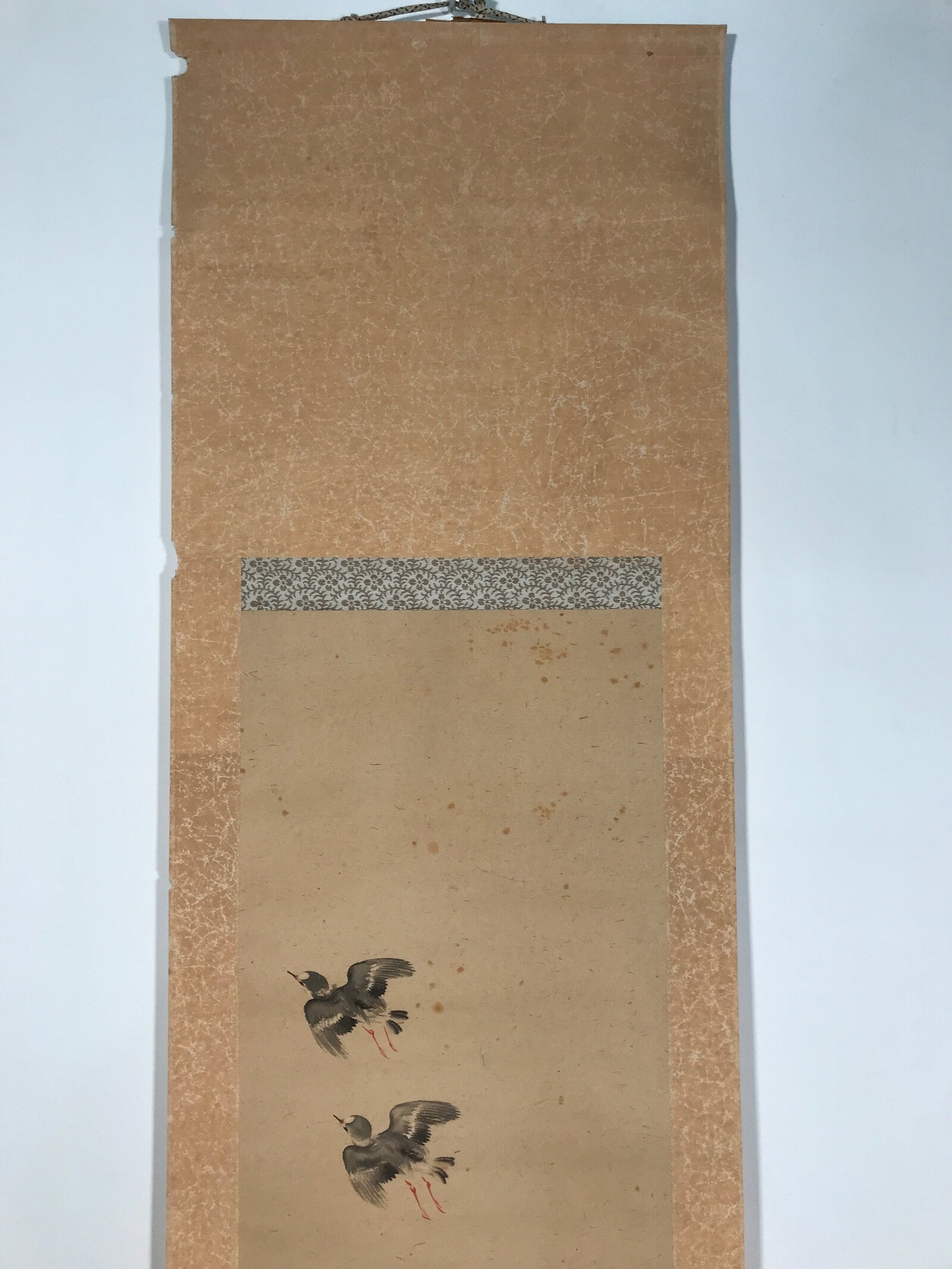 Antique Japanese Hanging Scroll Kakejiku Flying Bird Plover Fall Color KJ190