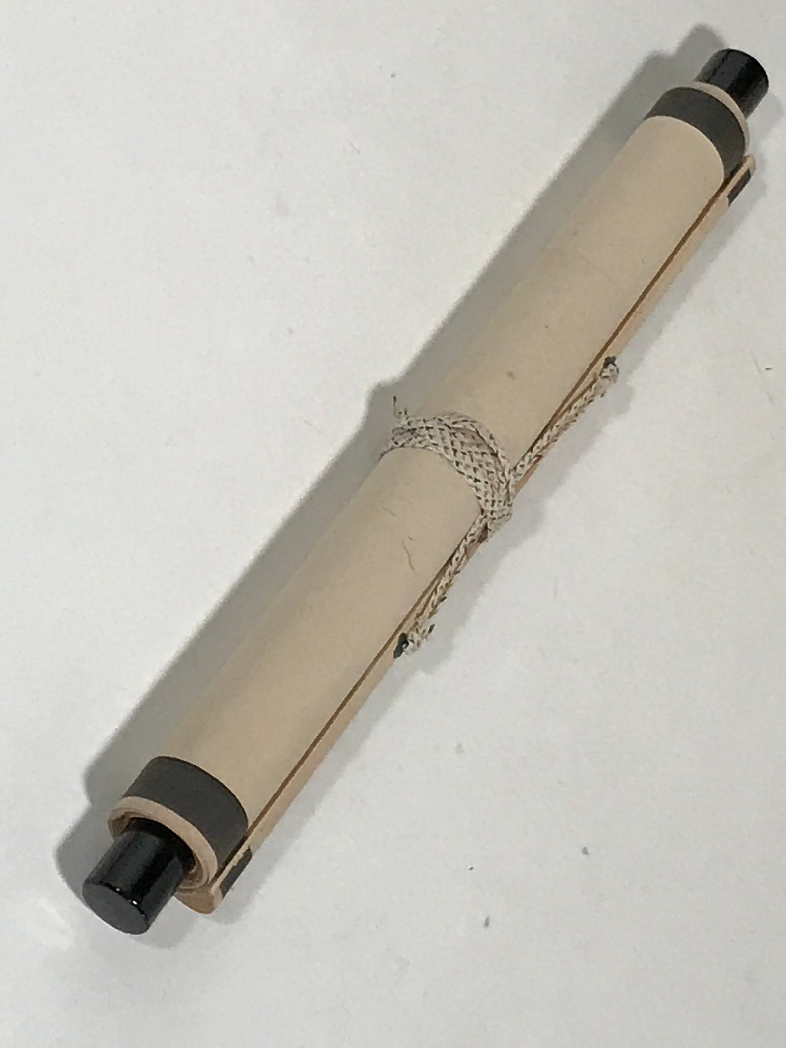 Antique Japanese Hanging Scroll Kakejiku Leopard Plant Bird Green Yellow KJ189