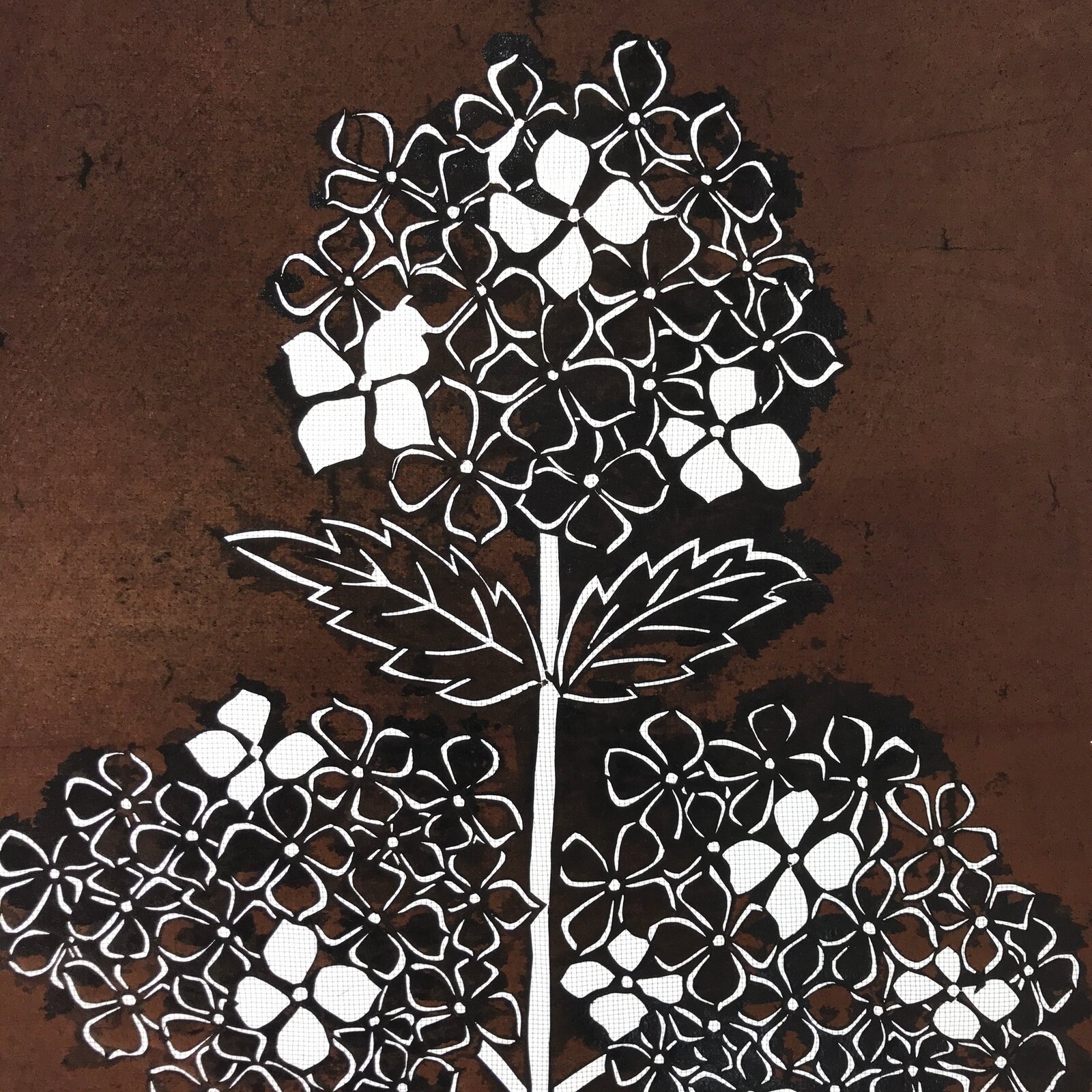 Antique Japanese Katagami Kimono Paper Stencil Katazome Hydrangea Ajisai 4Y524