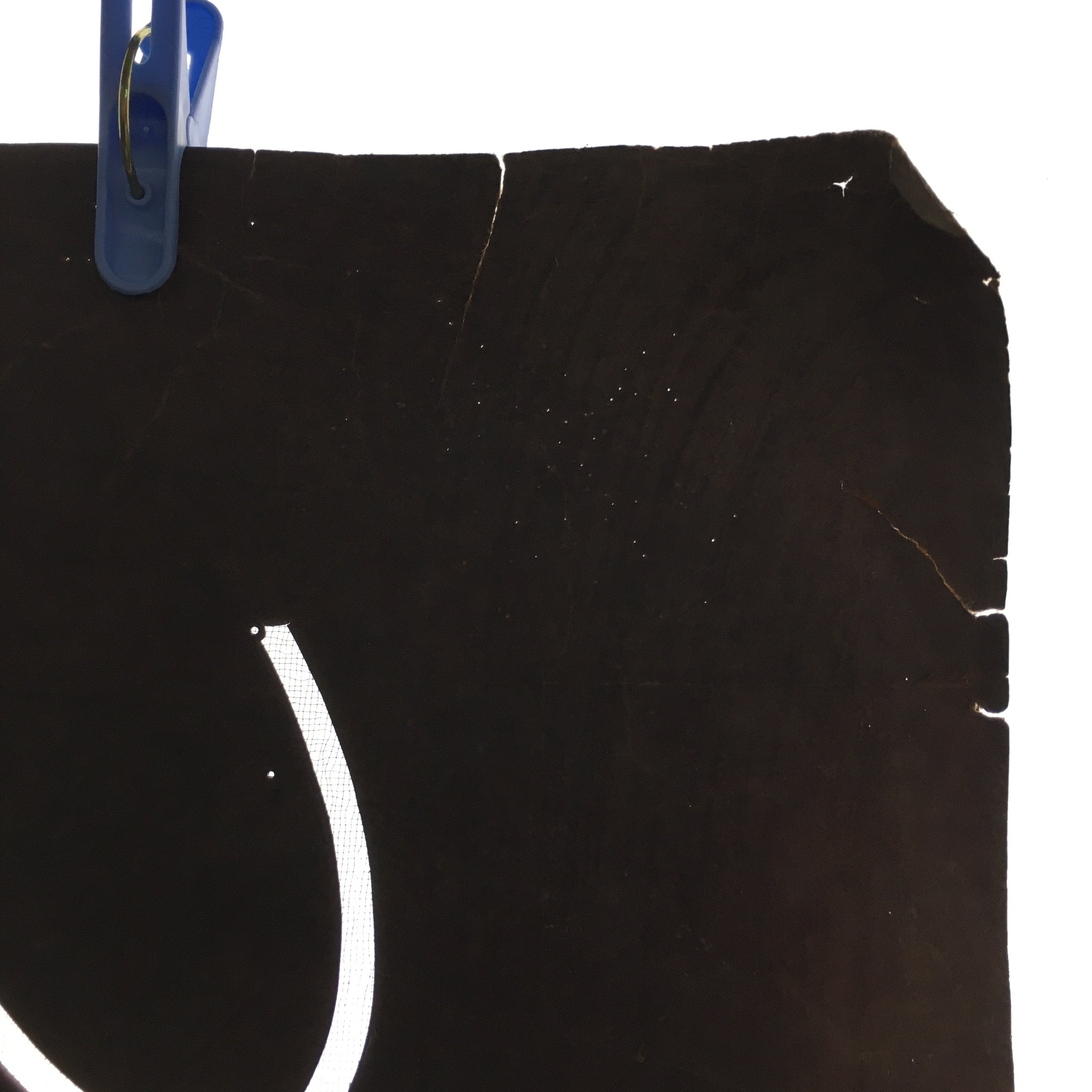 Antique Japanese Katagami Kimono Stencil Katazome Flower Kiku Butterfly C325