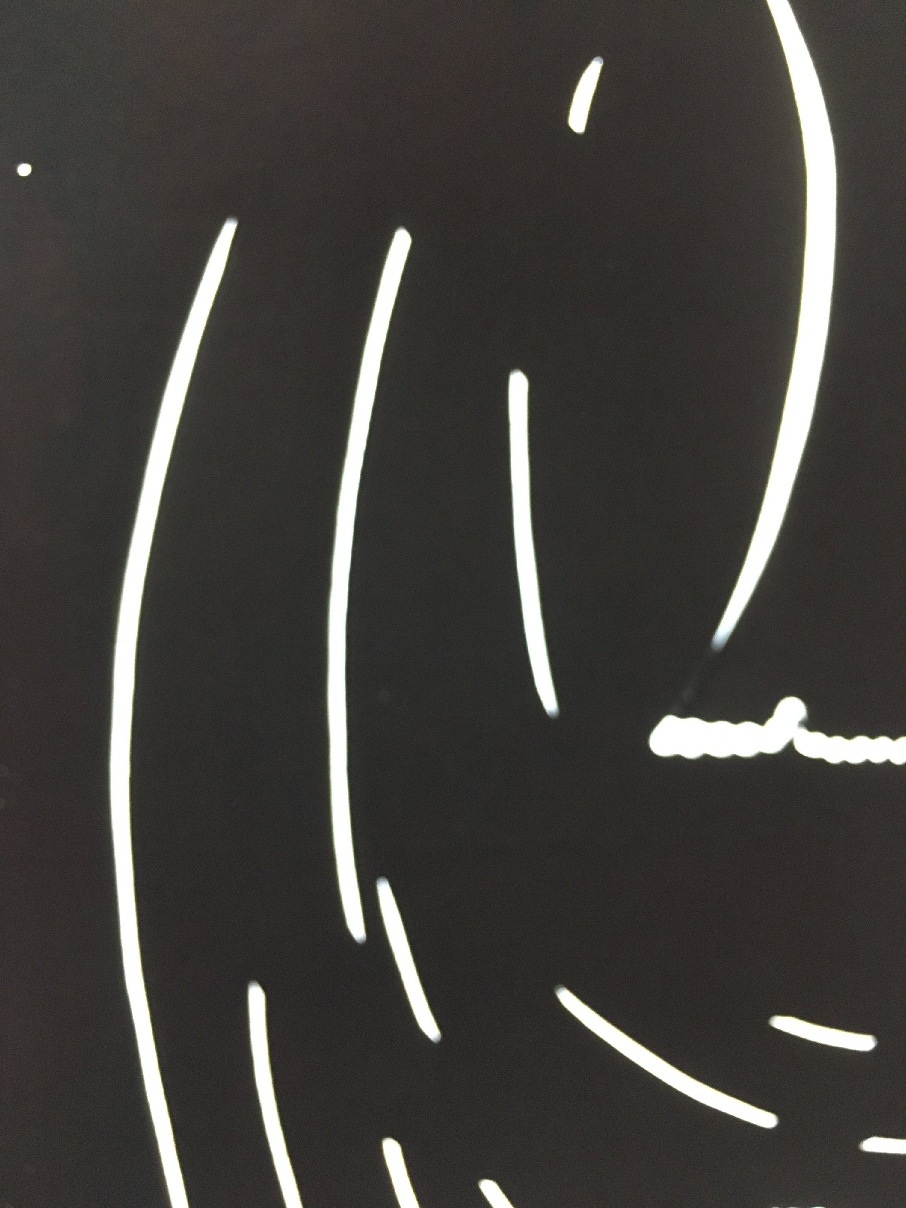 Antique Japanese Katagami Kimono Stencil Katazome Meiji Design C412