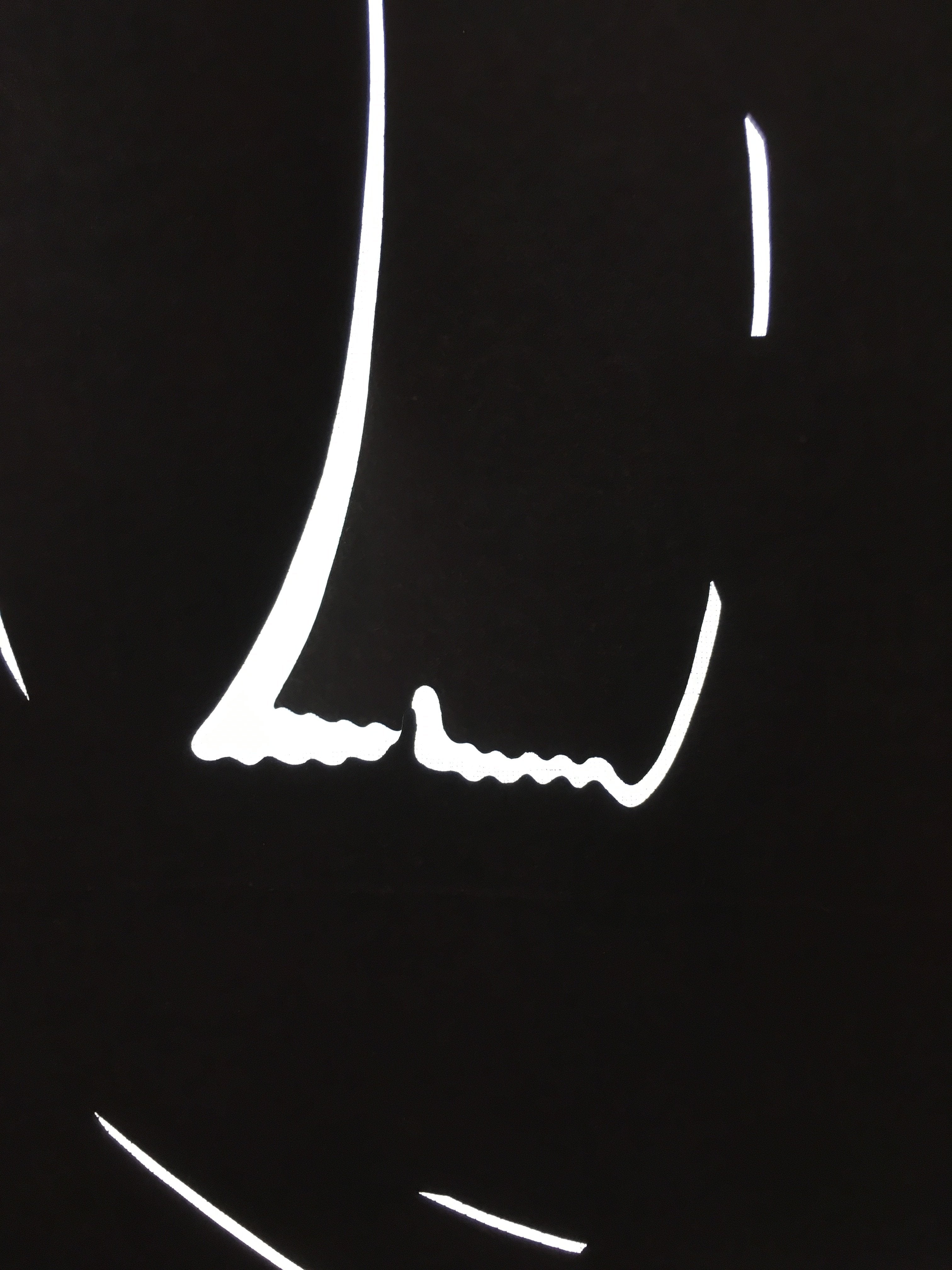 Antique Japanese Katagami Kimono Stencil Katazome Meiji Design C412