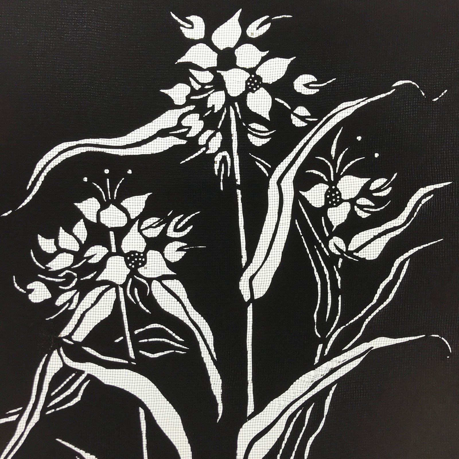 Antique Japanese Katagami Paper Kimono Stencil Katazome Flower Design A647