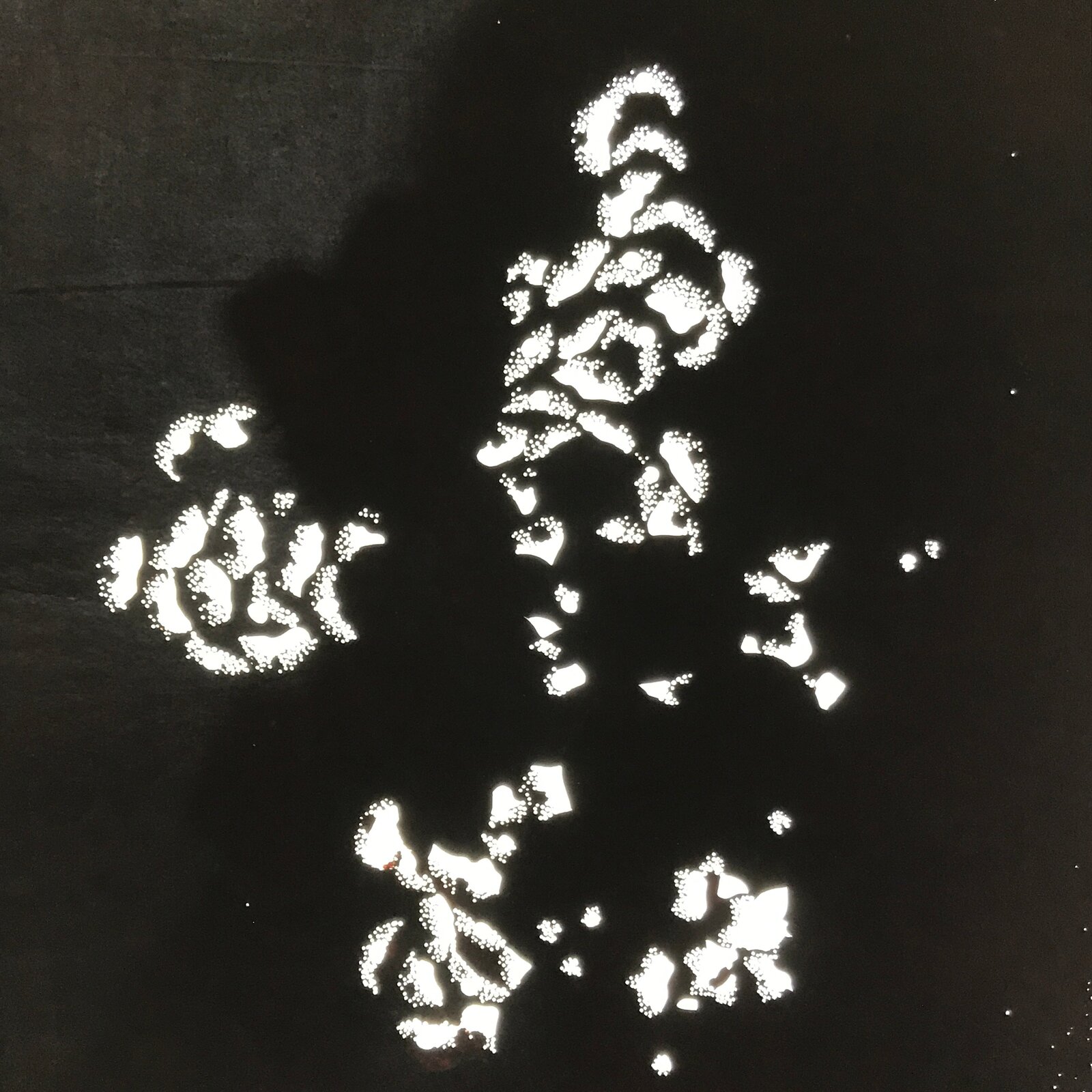 Antique Japanese Katagami Paper Kimono Stencil Katazome Peony Botan Petals C919