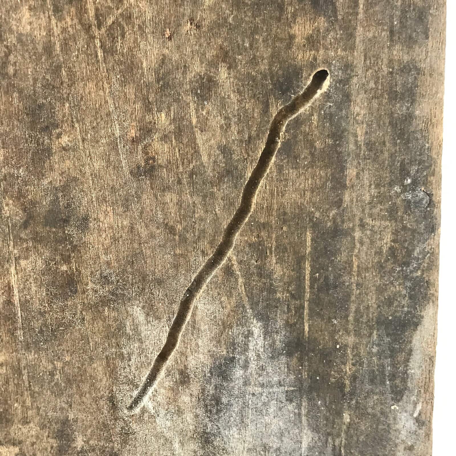 Antique Japanese Open Wooden Storage Box Inside 15x15x21cm Brown X98