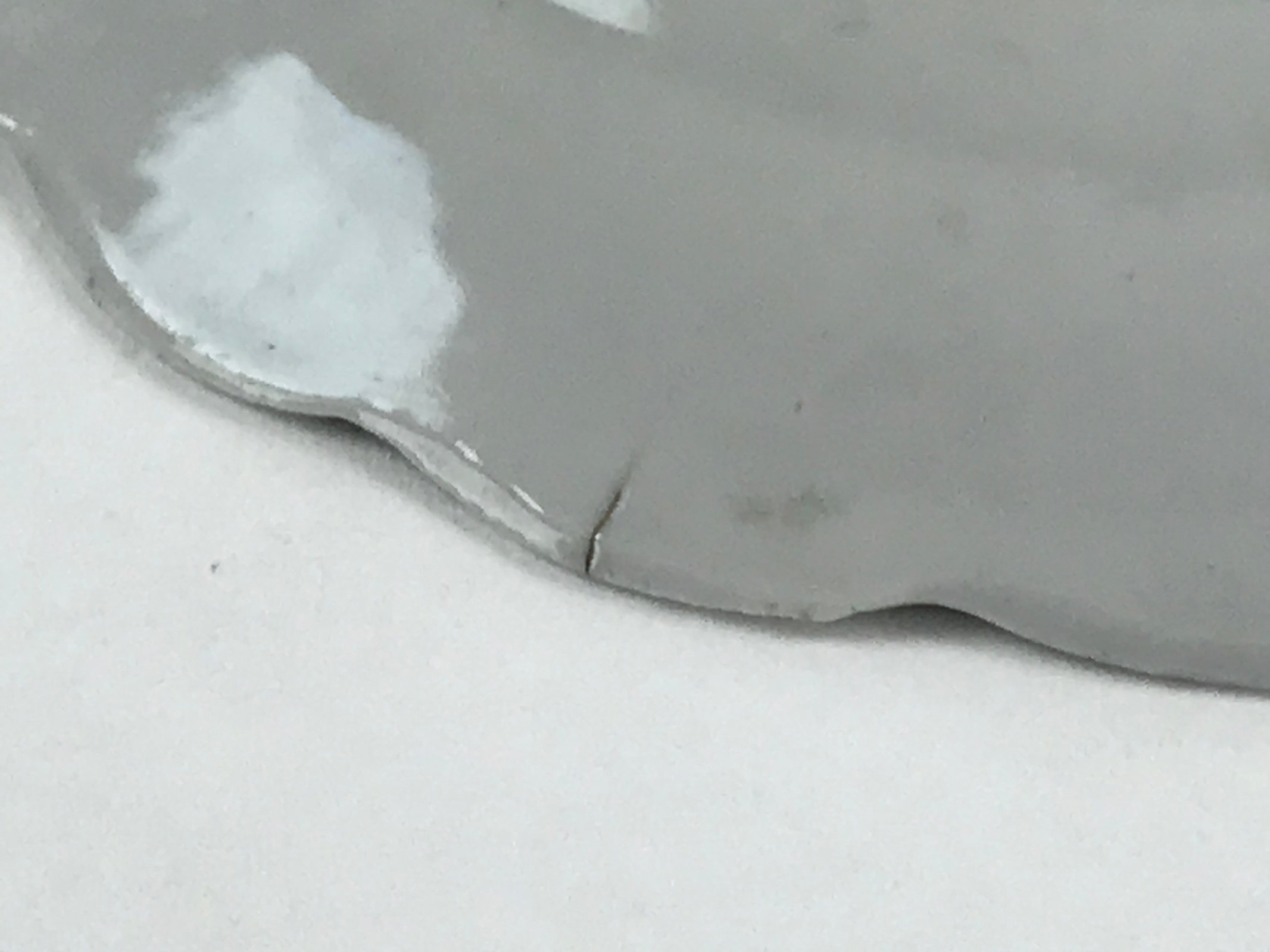 Antique Japanese Porcelain Plate White Floral Butterfly Kozara Yakimono PY465