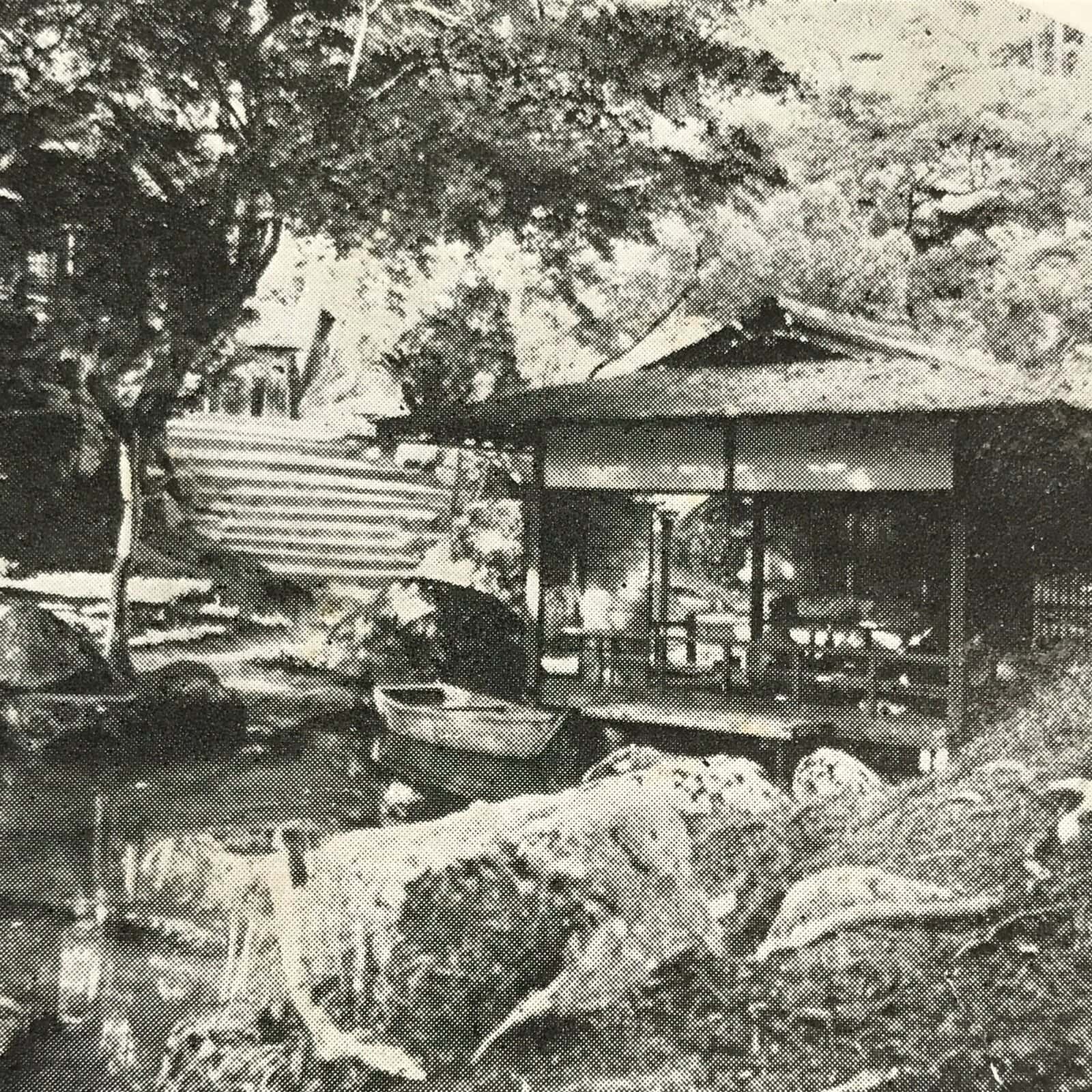 Antique Japanese Postcard Itsukushima Momijidani Park C1920 Black White PC136