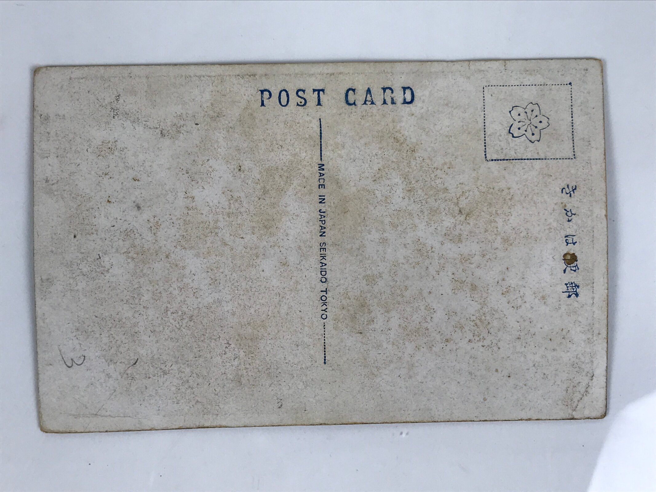 Antique Japanese Postcard Sumo Wrestler Asahibiki Nobuchika Black White PC93