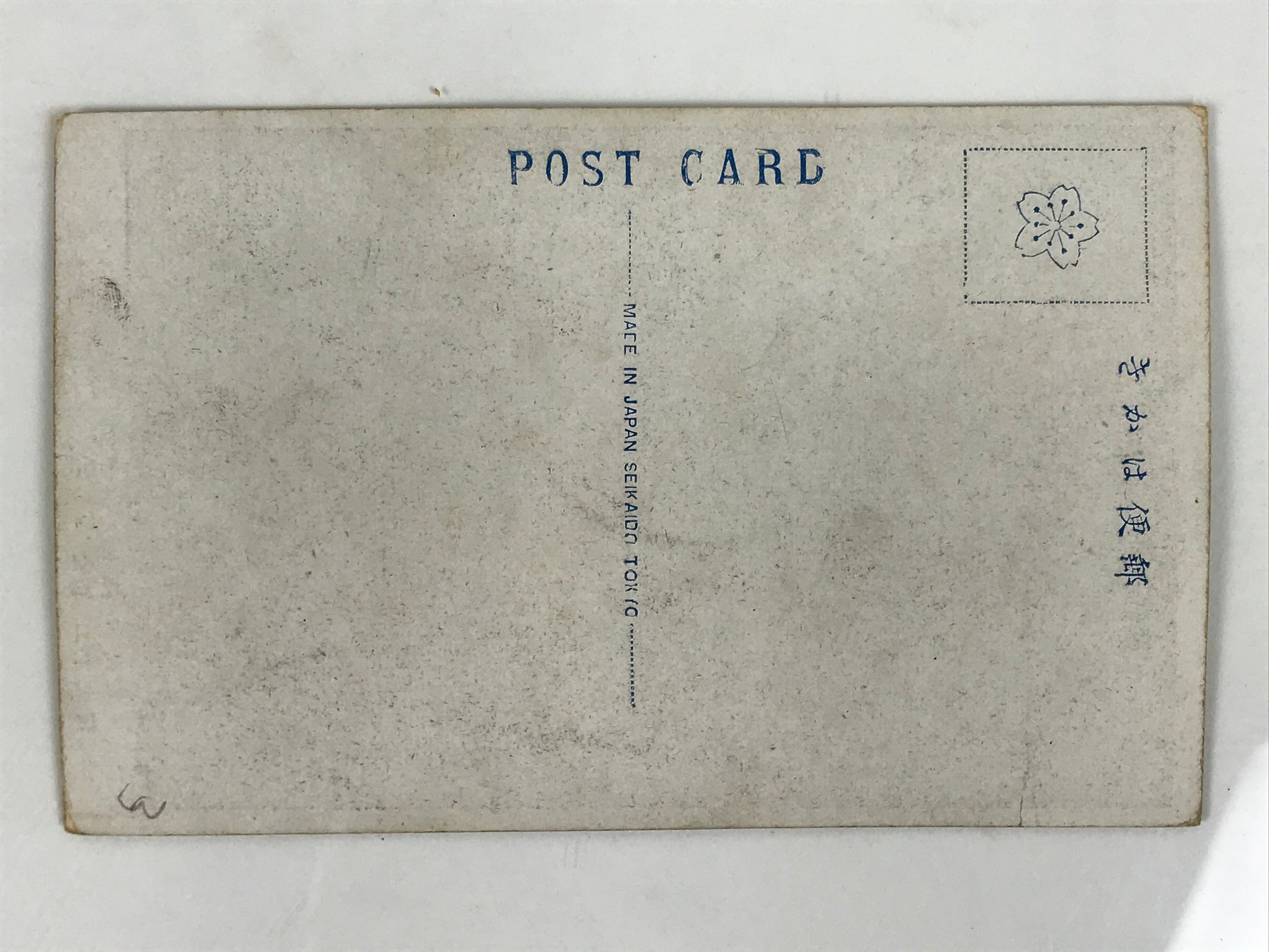 Antique Japanese Postcard Sumo Wrestler Misugi'iso Zenshichi Black White PC98