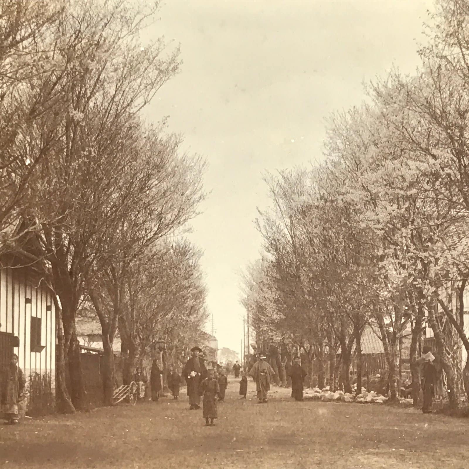 Antique Japanese Taisho Inuyama Town Street Sakura Photograph Black White PH34