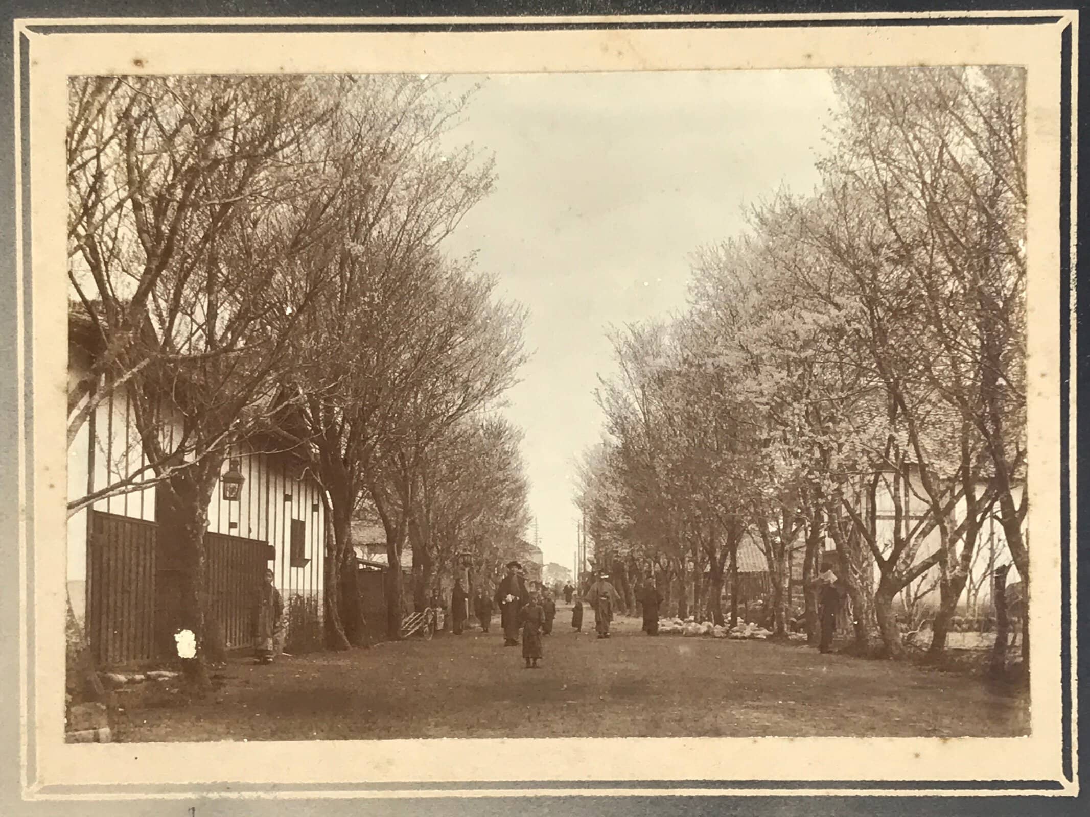 Antique Japanese Taisho Inuyama Town Street Sakura Photograph Black White PH34