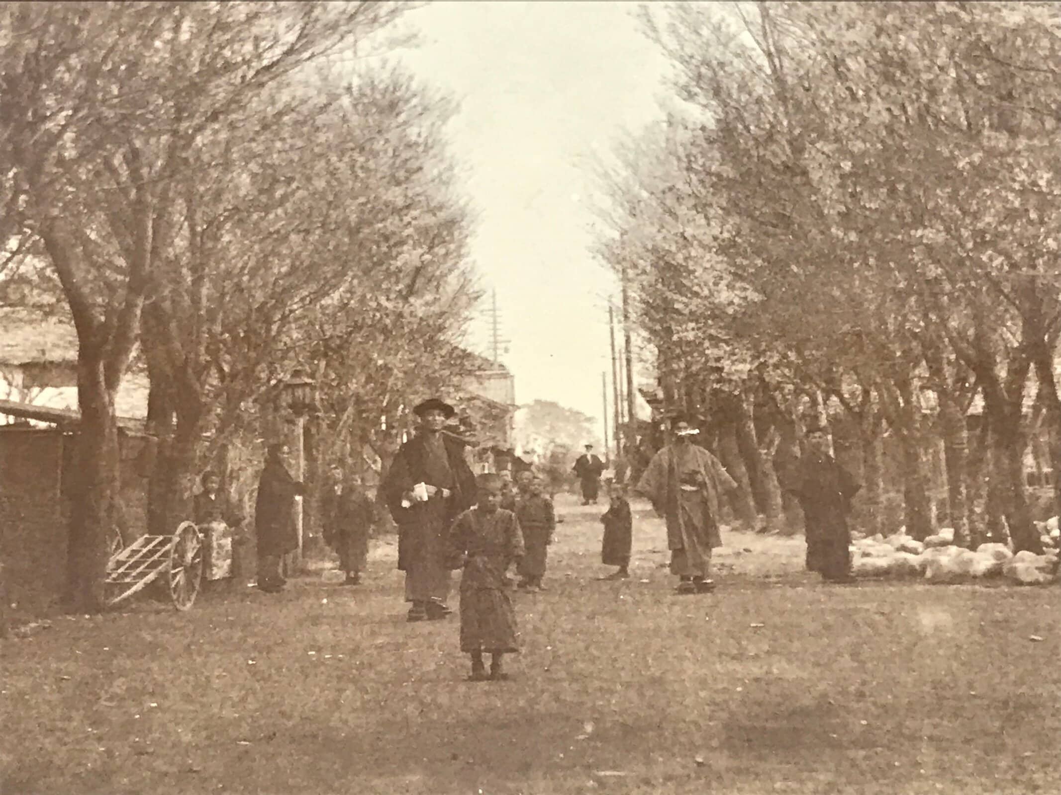 Antique Japanese Taisho Inuyama Town Street Sakura Photograph Black White PH34