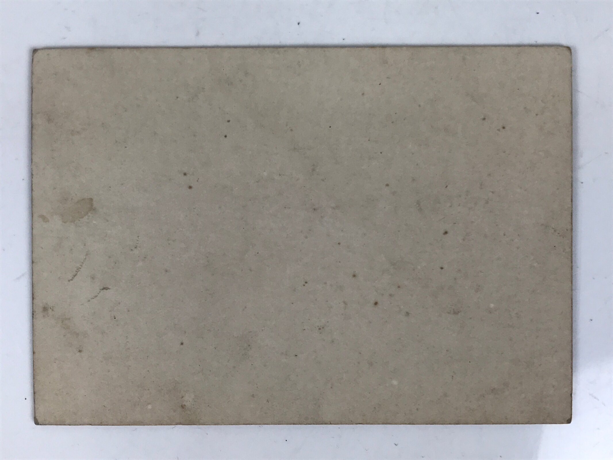 Antique Japanese Taisho Inuyama Town Street Sakura Photograph Black White PH34