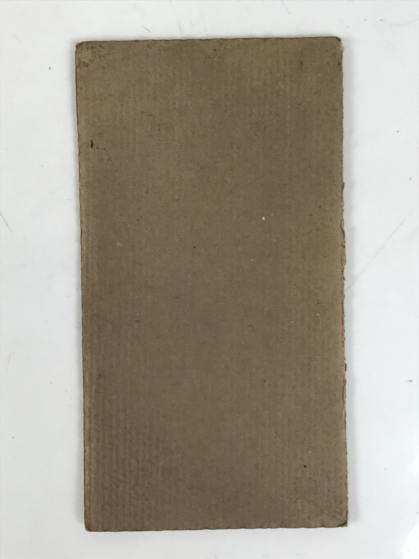 Antique Japanese Taisho Young Woman Portrait Photograph Kimono Hakama Sepia PH42