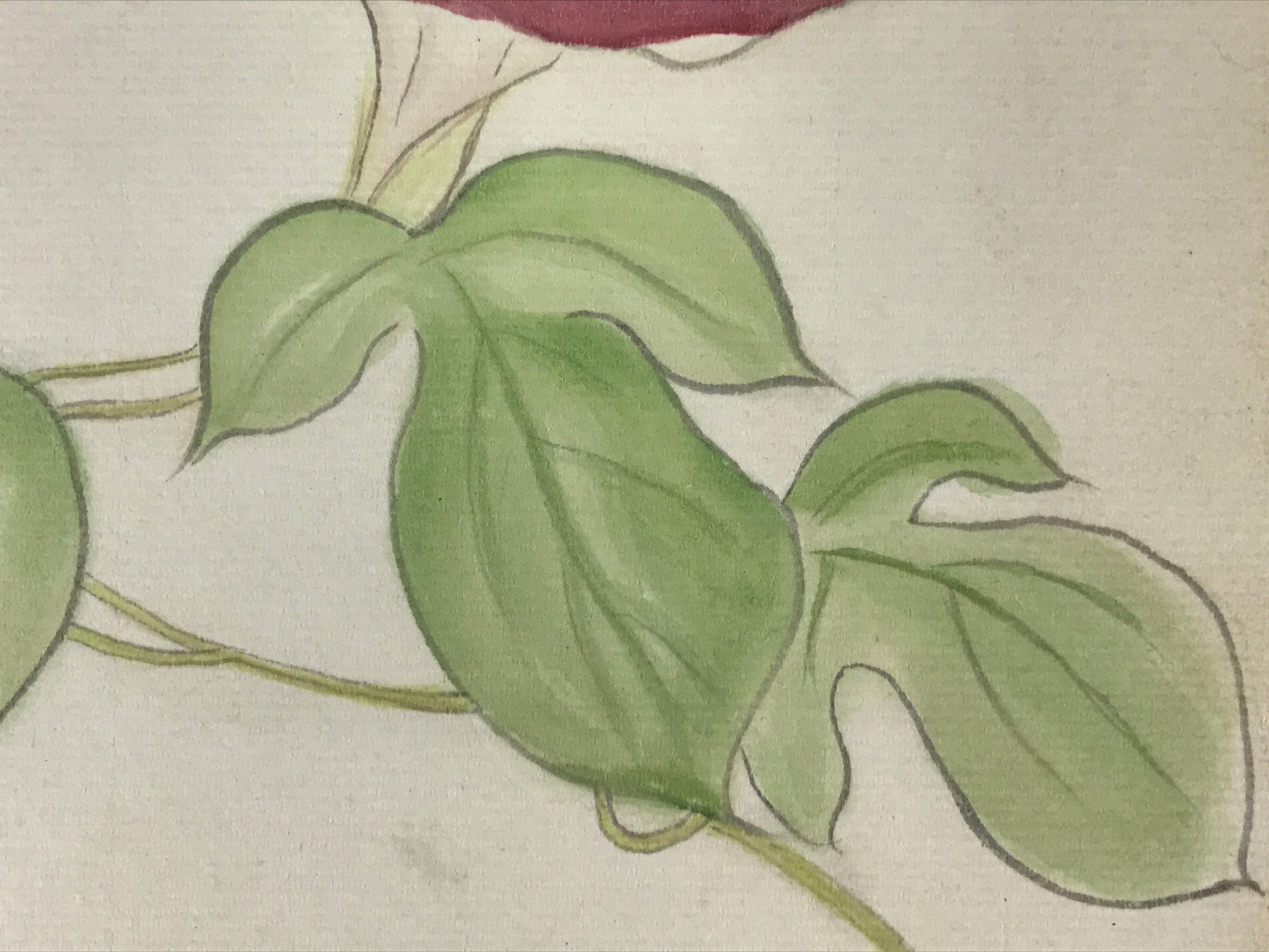 Japanese Art Board Painting Morning Glory Flower Shikishi Paper Hand Painted A48