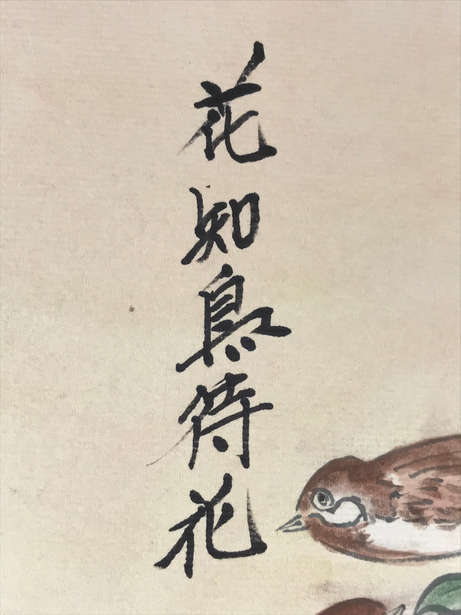 Japanese Art Board Painting Spring Scene Shikishi Paper Camellia Sparrow A485