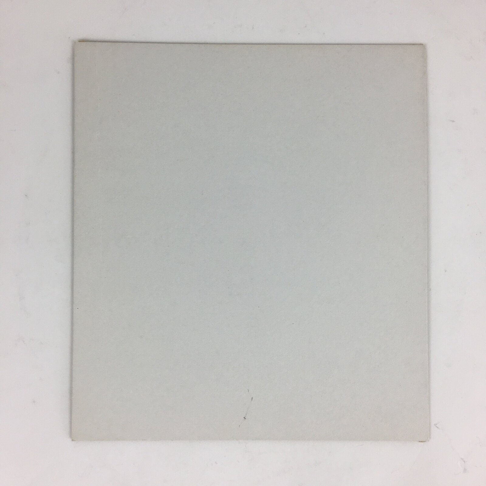 Japanese Art Board Vtg Hand Drawn Picture Flower Vase Lemon A423