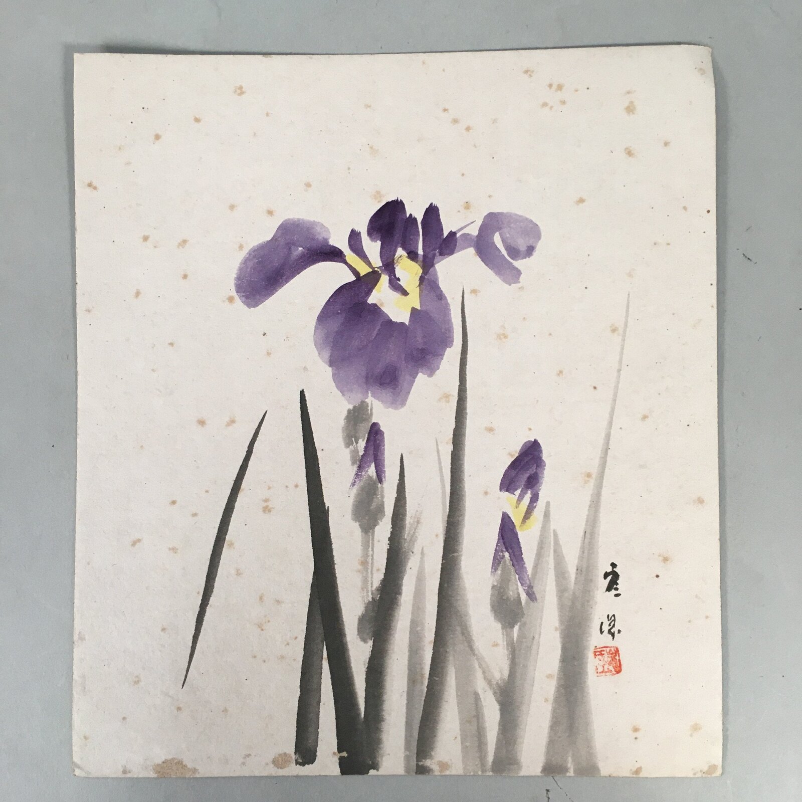 Japanese Art Board Vtg Shikishi Paper Hand-painted Purple Flower Iris A311