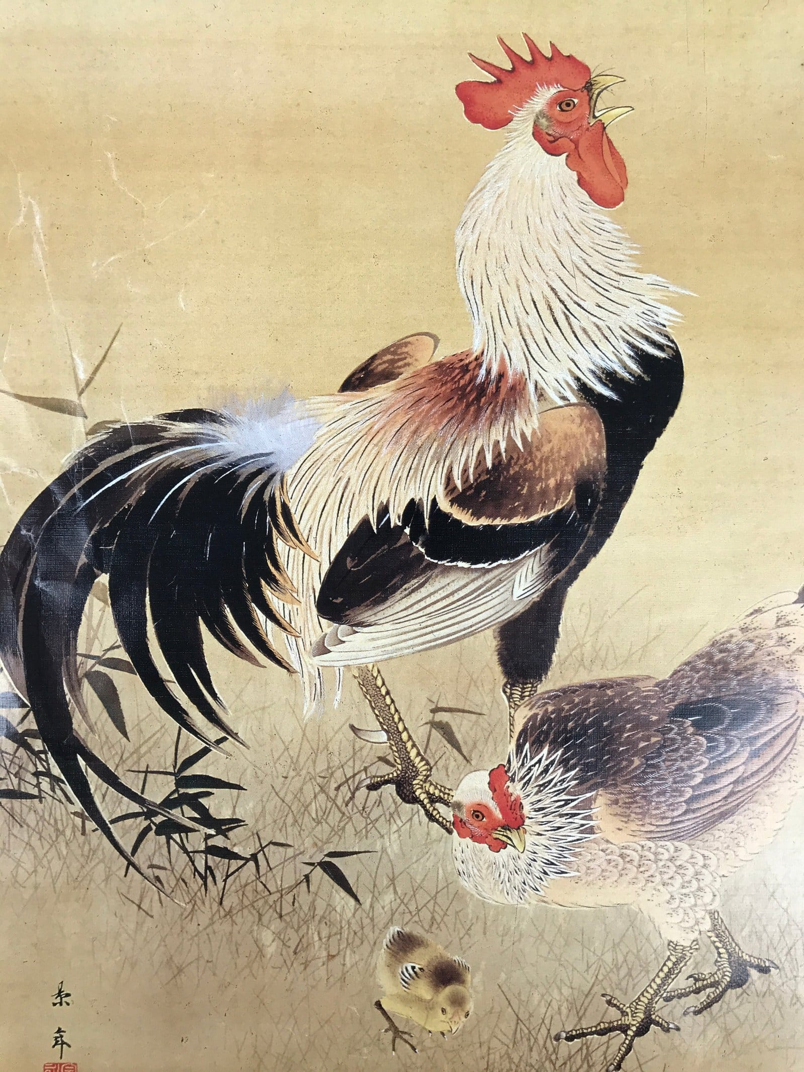 Japanese Art Print Reproduction Rooster Chicken Family Realistic Brown Red FL423