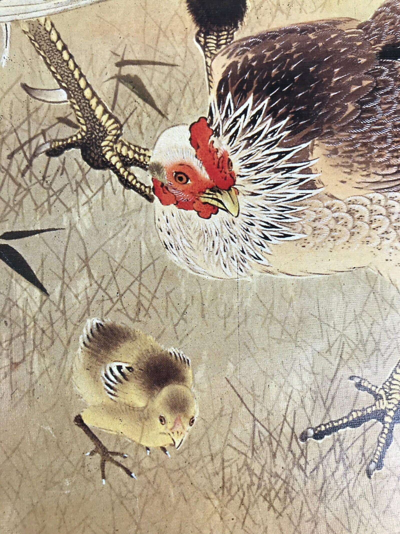Japanese Art Print Reproduction Rooster Chicken Family Realistic Brown Red FL423