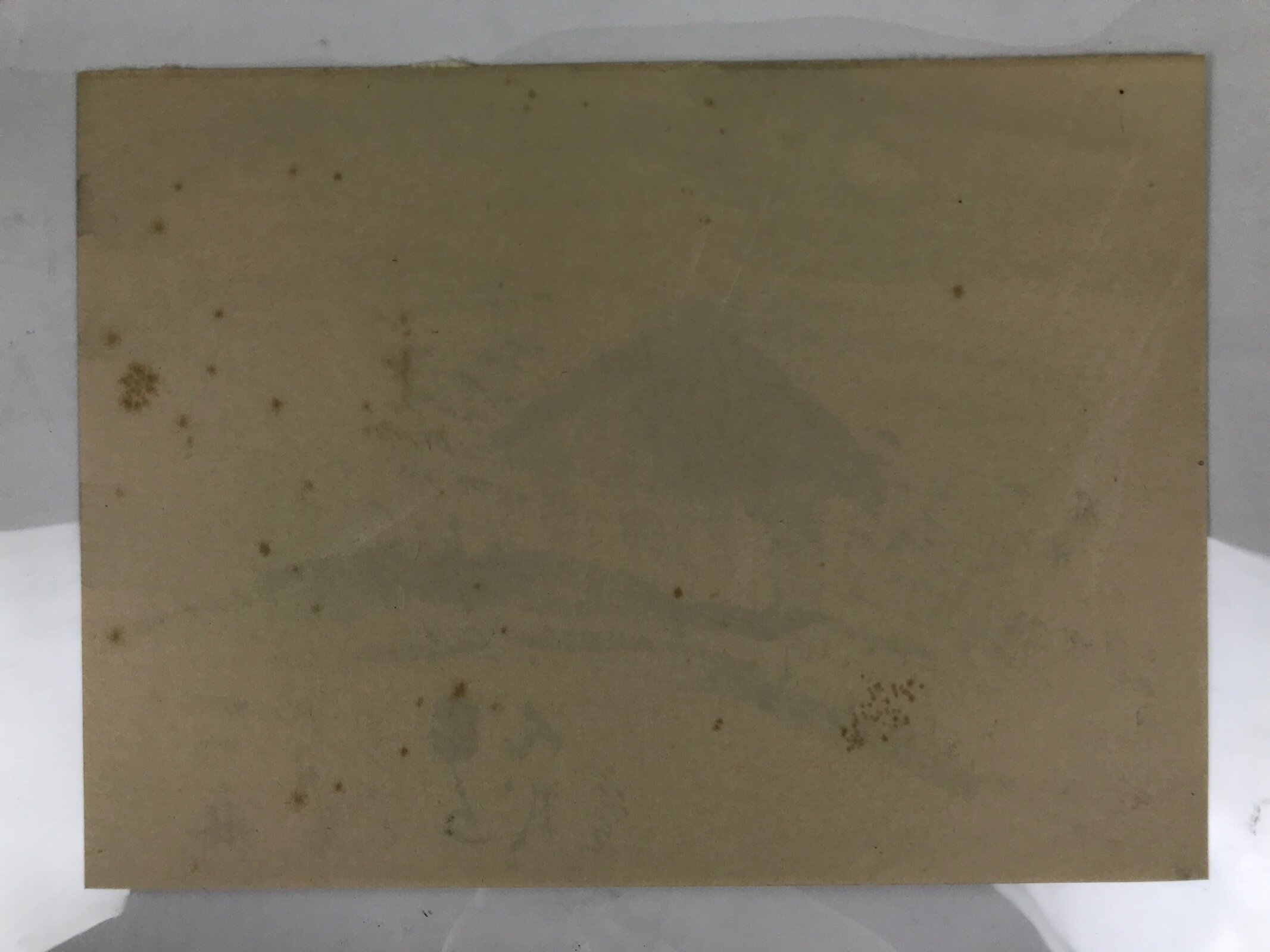 Japanese Art Print Reproduction Rosanji House Full Moon Bamboo Black Paper FL432