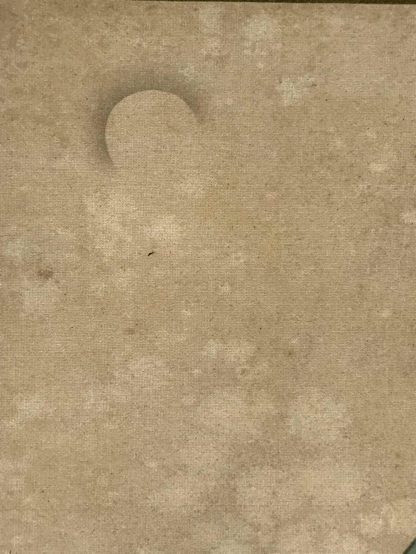 Japanese Art Print Reproduction Vtg Uemura Shoen Yuzuki Woman Watching Moon P355