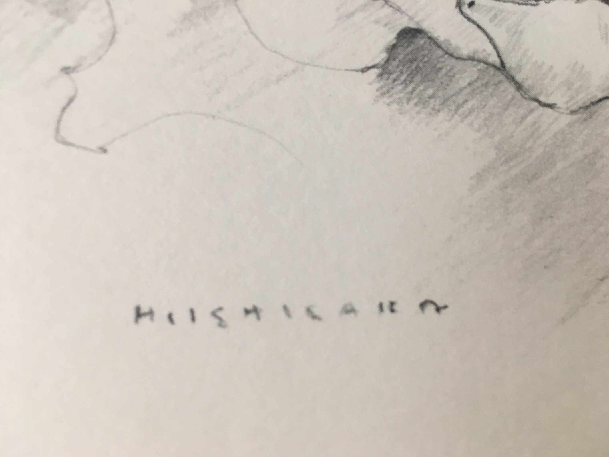 Japanese Art Print Sketching Drawing Woman Profile Dessins Vtg Pencil P280