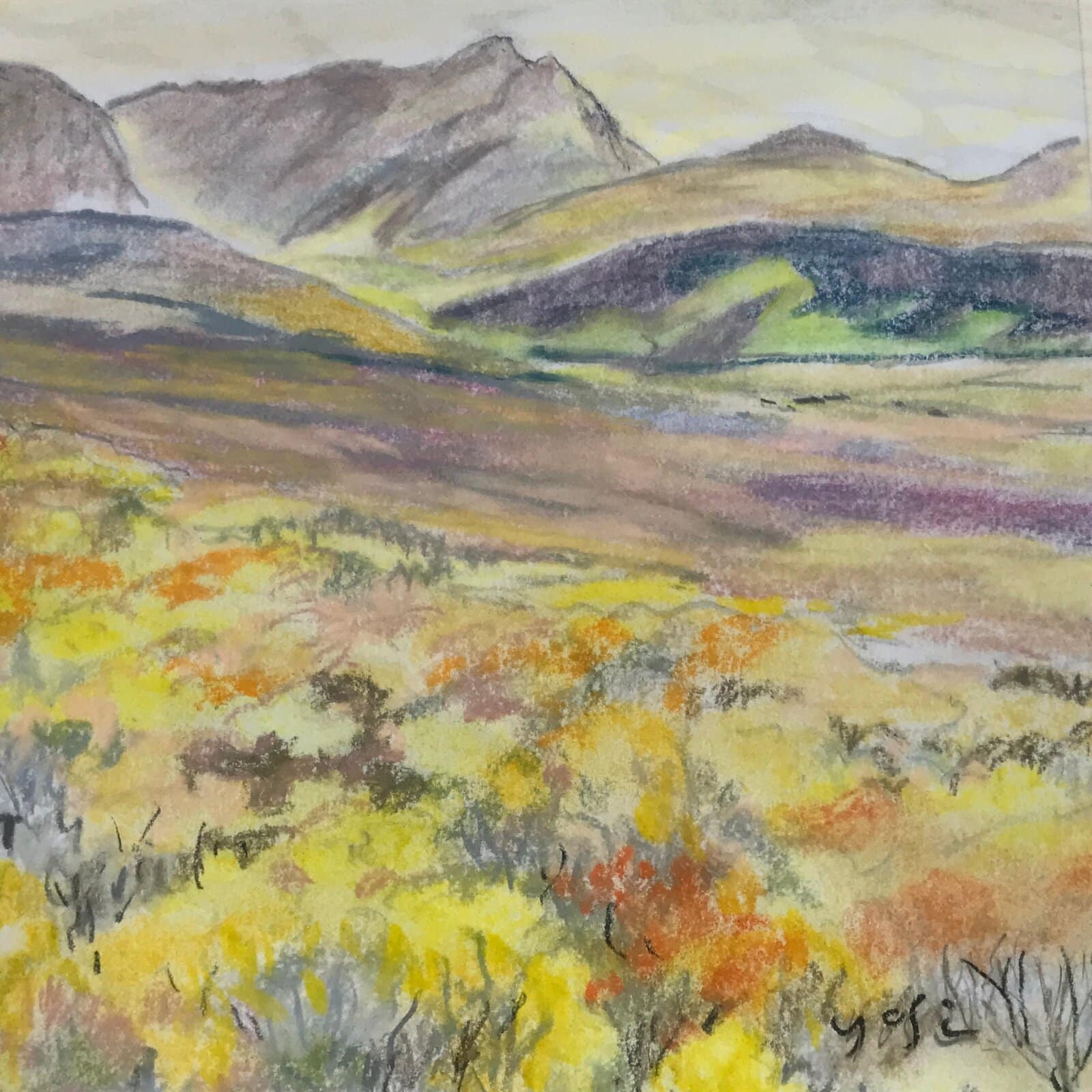 Japanese Autumn Mountain Valley Pastel Drawing Art Signed Yoshihiro Hagino FL331